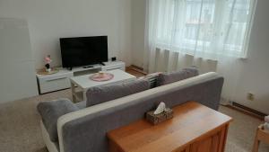 a living room with a couch and a tv at Apartmán Na Polabí 2 in Mělník