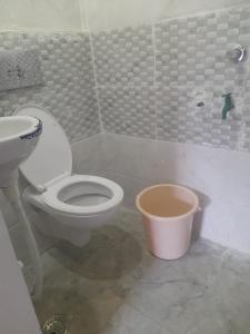 a bathroom with a toilet and a sink at BAGIYA Hut RESORT in Billi +14 photos