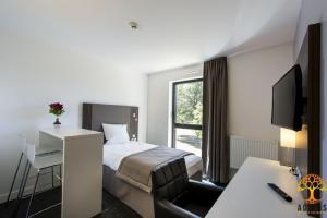 a hotel room with a bed and a desk and a television at Adonis Dijon Maison Internationale in Dijon