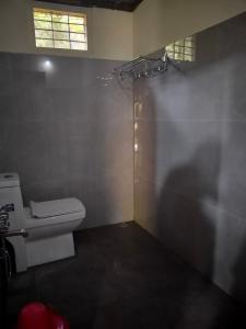 a bathroom with a toilet and a shower stall at THE DOCkSIDE INN in Madikeri