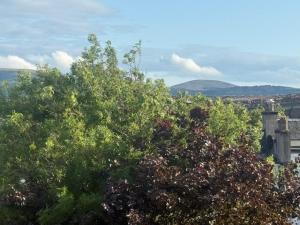 a group of trees with mountains in the background at Murrayfield Gem in Edinburgh