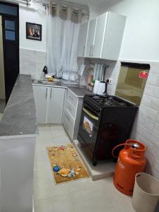 a small kitchen with a stove and a sink at Waridi Homes One-bedroom Naivegas Apartment in Naivasha +3 photos