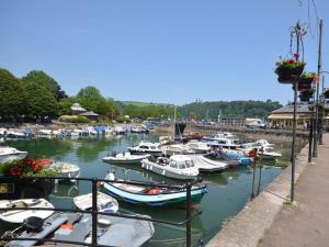 a bunch of boats are docked in a harbor at 1 Bed in Brixham oc-78520 in Galmpton-on-the-Dart +15 photos