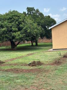 a field with two trees and a building at Next Level in Gulu