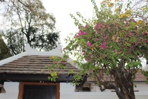 a tree with pink flowers on the roof of a house at Lux Hotel in Luang Prabang +41 photos