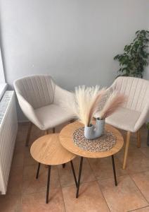 a living room with two chairs and a table with feathers at Balkonett Vendégház in Balatonfüred