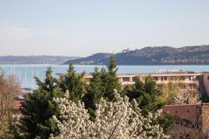 a tree with white flowers in front of a building at Balkonett Vendégház in Balatonfüred