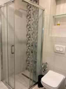 a bathroom with a shower with a toilet at BASC Modern 2 in Sarajevo +9 photos