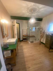 a large bathroom with a sink and a shower at Chambre Le Colibri in Lezoux