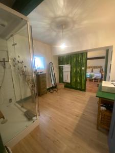 a large room with a glass shower and a bedroom at Chambre Le Colibri in Lezoux