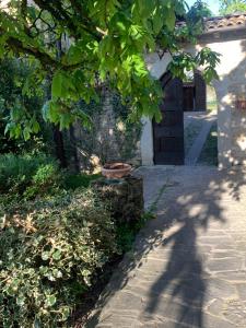 a building with a tree and a bowl on a wall at Agriturismo Casa Gianino in Acquaria +12 photos