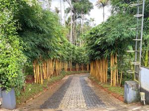 a dirt road lined with trees and a fence at ARAMAM SERVICE VIlla in Mananthavady