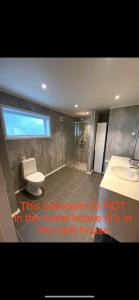 a bathroom with a toilet and a sink and a window at Forest Hideaway With Scenic View in Fiskå +33 photos