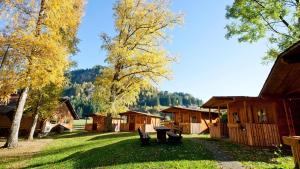 a group of wooden cabins in a field with trees at Raddörfl in Teufenbach