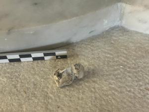 a rock on the floor in front of a checkeredkered at A practical features designed for everyday convenience in Bundaberg