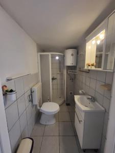 a small bathroom with a toilet and a sink at Guesthouse Loncar in Plitvička Jezera +117 photos