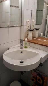 a bathroom with a white sink and a mirror at Ferienhaus Wismar in Wismar +13 photos