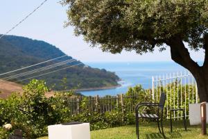 eine Bank unter einem Baum neben dem Meer in der Unterkunft Myrtus Agropoli in Agropoli