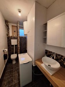 a bathroom with a white sink and a toilet at VP in Bajina Bašta