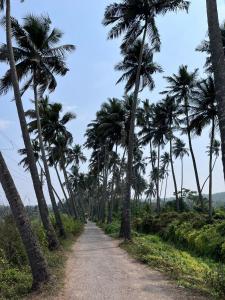a dirt road lined with palm trees at Assagaon Studio at Kiara Homes in Assagao +4 photos