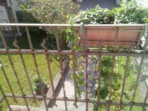 Balkón nebo terasa v ubytování Dragonfly B&B
