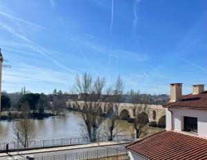 Blick auf einen Fluss mit einer Brücke im Hintergrund in der Unterkunft VUT El Cordón Con garaje in Zamora