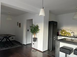 a kitchen with a refrigerator and a table with a plant at Faraway Homes Studio Bruck #11 in Bruck an der Mur