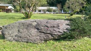 a large rock sitting in the grass in a yard at Seasons Inn in Jiaoxi
