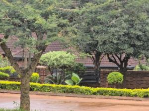 a building with trees and a brick wall at Milasha Guest House in Louis Trichardt
