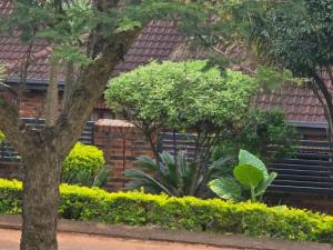 a tree and bushes in front of a building at Milasha Guest House in Louis Trichardt +3 photos