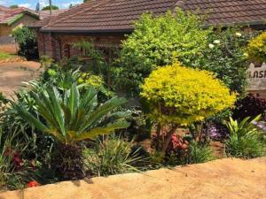 a garden of flowers and plants in front of a house at Milasha Guest House in Louis Trichardt