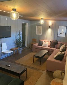 a living room with a couch and a tv at Lillskarvens vandrarhem in Funäsdalen