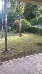 a garden with two palm trees and a stone path at Casa mar in Las Galeras