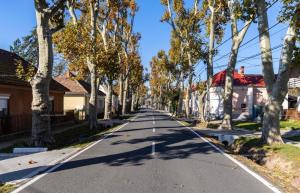 an empty street with trees and houses on it at Szemesbay luxus apartman in Balatonszemes