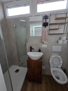 a small bathroom with a sink and a toilet at Cozy studio in Schwäbisch Hall in Schwäbisch Hall