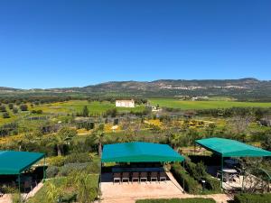 an overhead view of a park with two green umbrellas at Ferme d'hôtes Bladna Garden in Meknès