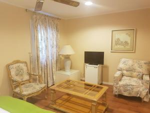a living room with a couch chair and a television at Hotel del Carme in Vilagrasa