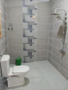 a bathroom with a toilet and a shower at Marwan Farmhouse Rooftop Apartment in Faraj Māḑī +7 photos