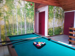 a pool table in a room with a window at Gite 2 de Renuamont in Sainte-Ode