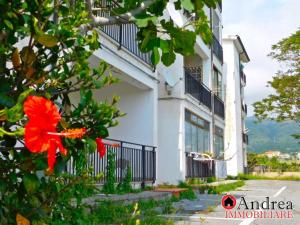 a white building with a red flower on a tree at Casa COMER GRISOLIA in Cirella