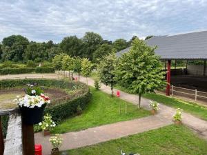 an aerial view of a garden with flowers in a pot at Relaxed Guesthouse in Heibloem