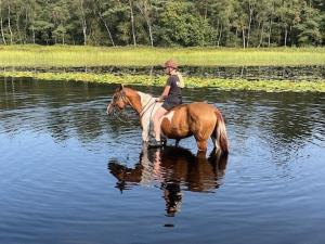 a woman riding a horse in the water at Relaxed Guesthouse in Heibloem
