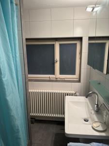 a bathroom with a sink and a window and a radiator at Greenhouse in Fellbach