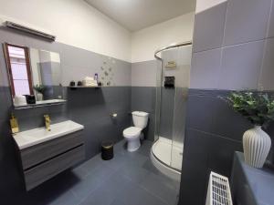 a bathroom with a toilet and a sink and a shower at Nefrit Garni & Bar in Česká Kamenice