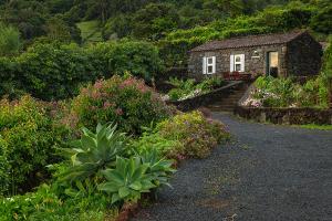 a garden with a small house and some flowers at Adegas do Pico in São Roque do Pico