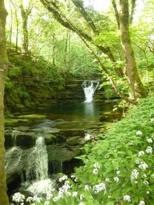 a waterfall in the middle of a river with flowers at Middlehope Cottage in Westgate