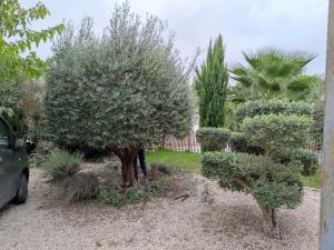 a garden with trees and bushes in a yard at Quiet house, sun and pool in Le Thor