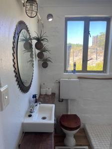 a bathroom with a toilet and a sink and a mirror at Lumberjack Cottage at Blombosch Game Farm in Yzerfontein +4 photos