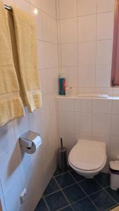 a bathroom with a toilet and a toilet paper dispenser at Appartment Shelley in Vandans +27 photos