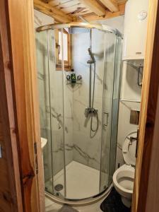 a glass shower in a bathroom with a toilet at Brvnara Panda Tara in Rača
